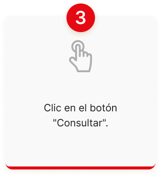 Paso 3: Digita el correo